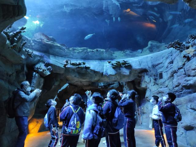  海洋公園之行