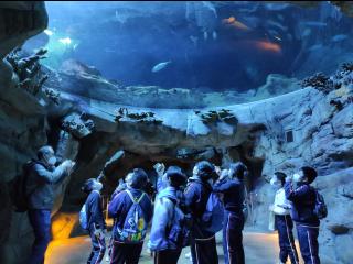  海洋公園之行